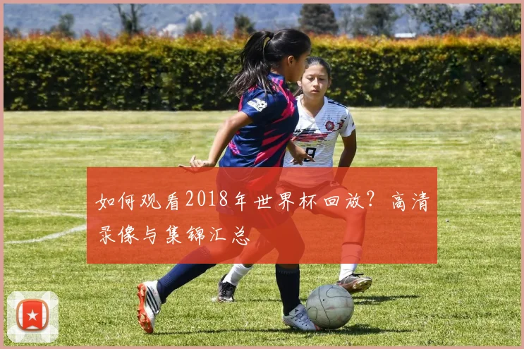 如何观看2018年世界杯回放?高清录像与集锦汇总