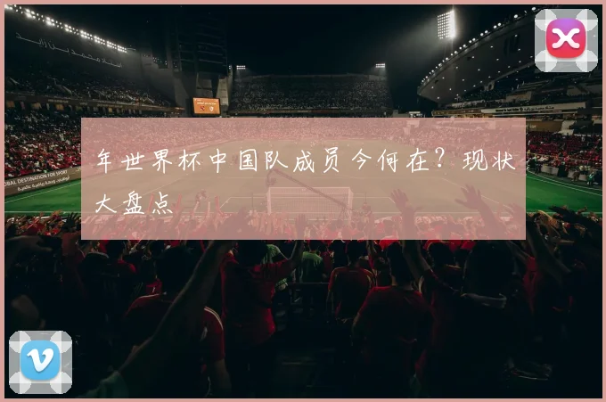 年世界杯中国队成员今何在?现状大盘点